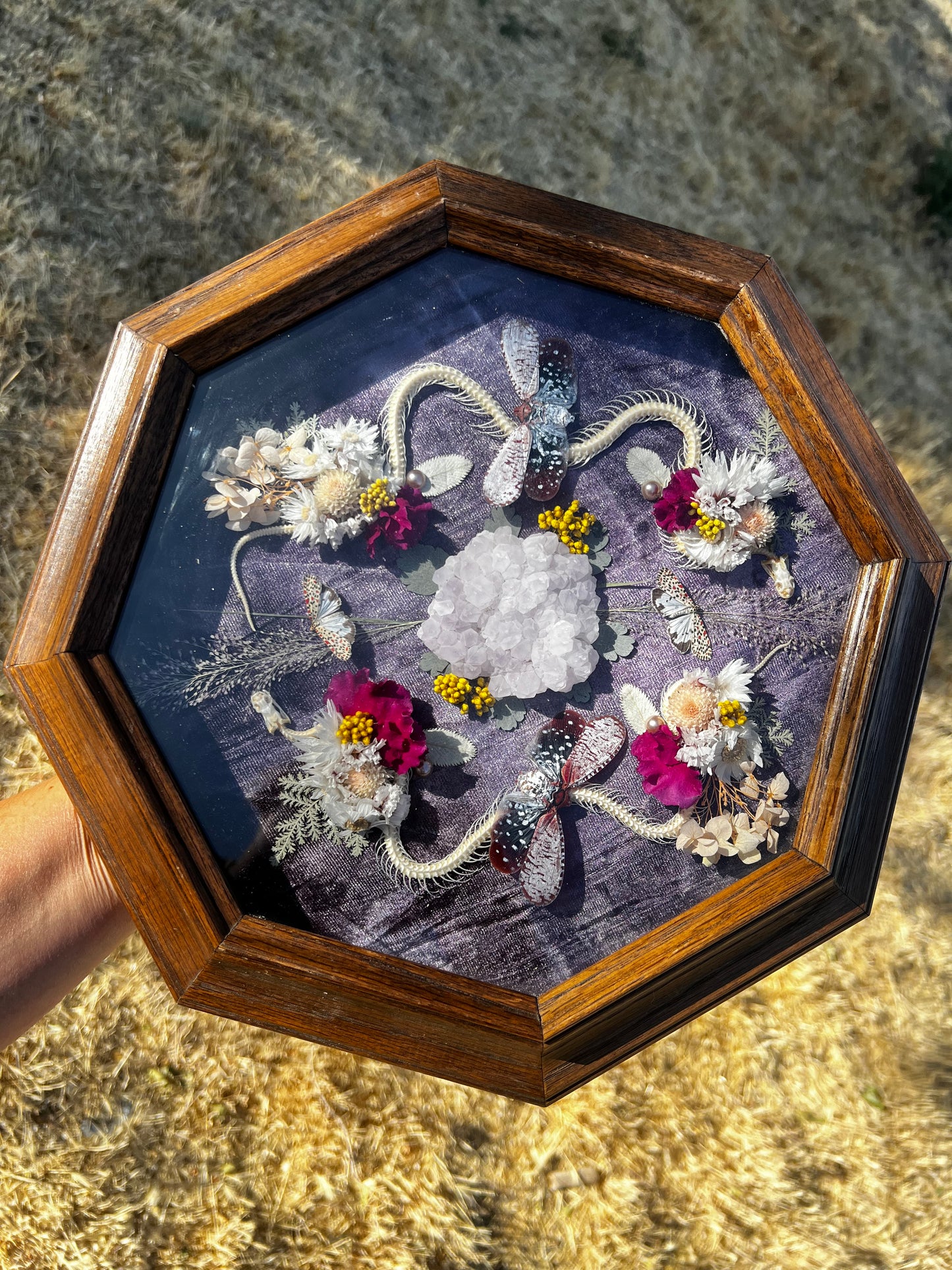 “The Blossom Pact” Snake Insect Floral Butterfly Taxidermy Oddities Framed Artwork
