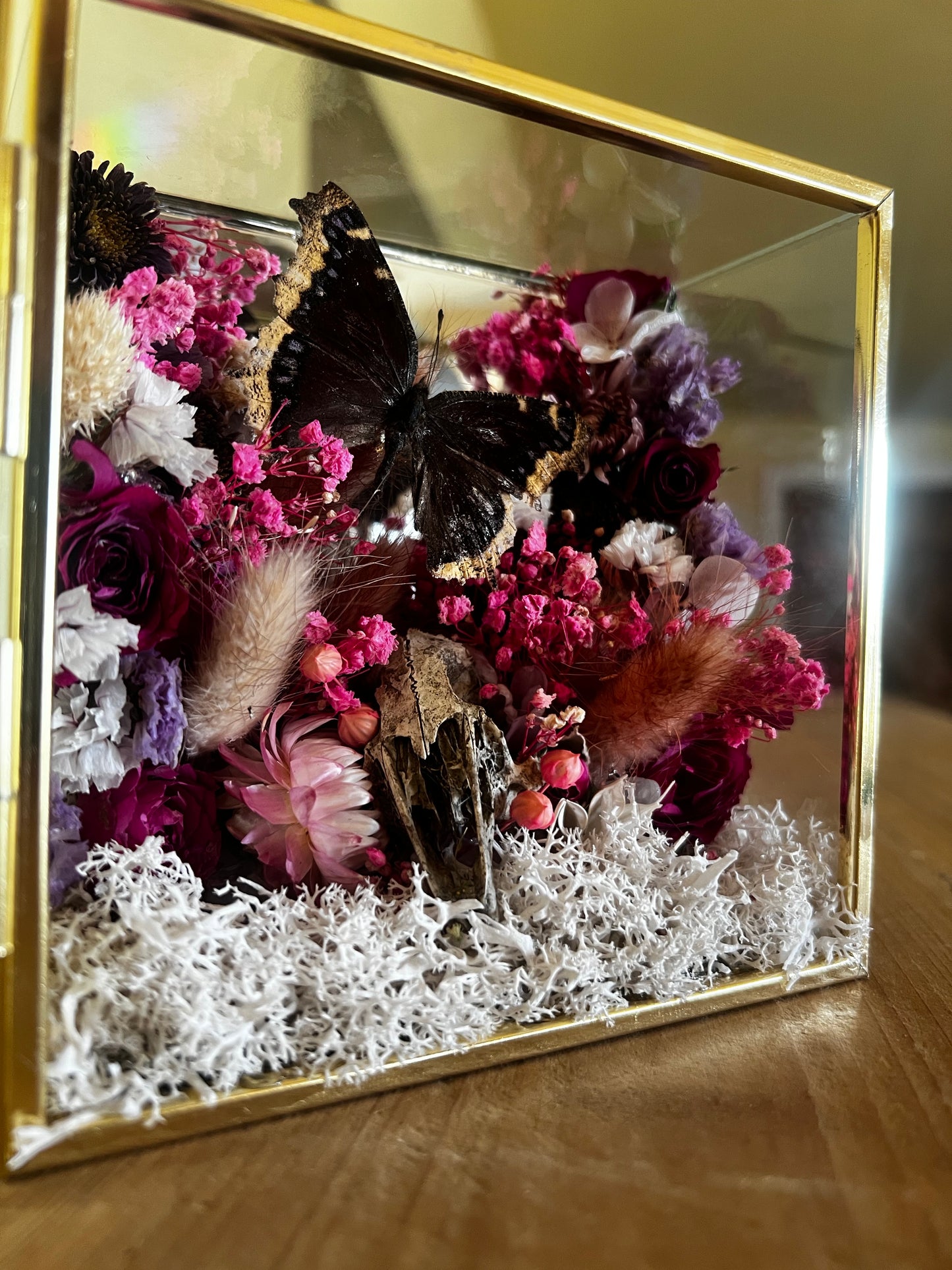 “Temple of Bloom” Butterfly Rabbit Skull Floral Botanical Taxidermy Oddities Shadowbox Artwork