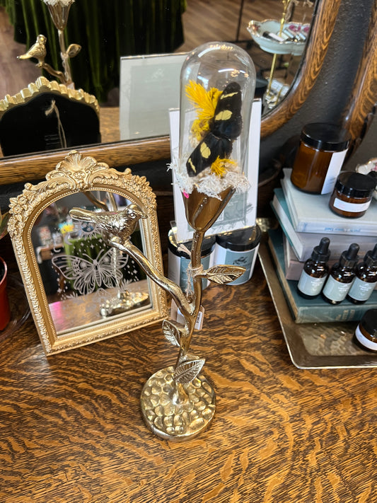 Josiah Butterfly Entomology Floral Botanical Candlestick Glass Dome Oddities Artwork