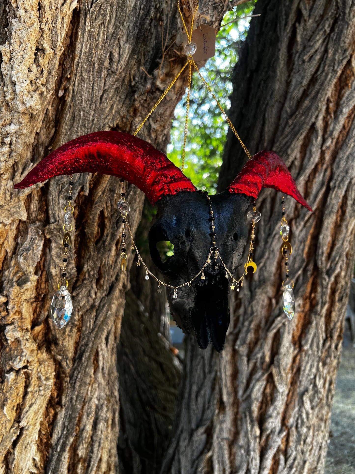 “Lucifer” Goat Skull Mixed-media Taxidermy Suncatcher Gothic Oddities Artwork