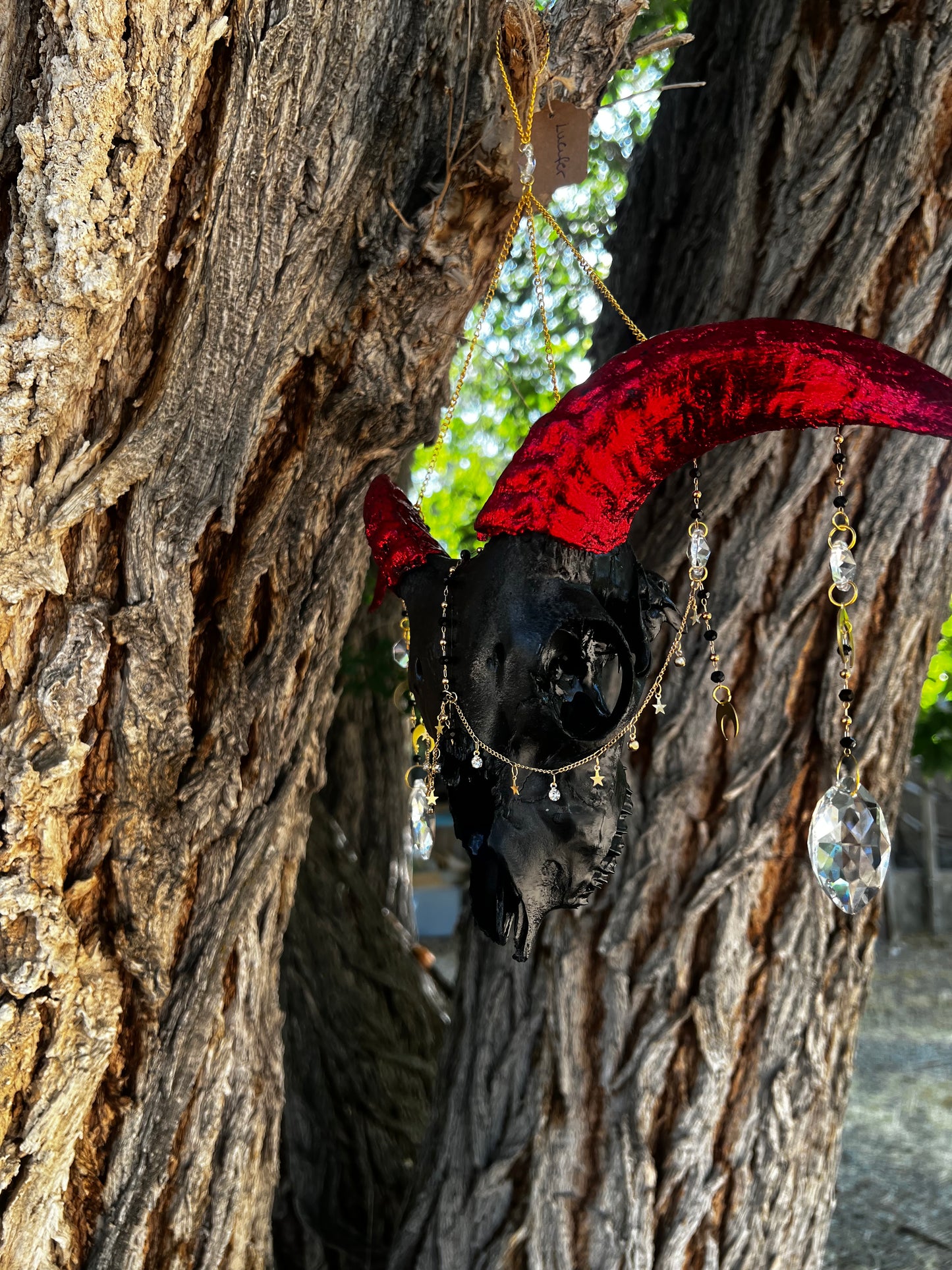 “Lucifer” Goat Skull Mixed-media Taxidermy Suncatcher Gothic Oddities Artwork