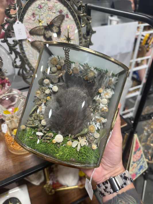 Poppy Real Rabbit Bunny Head Floral Whimsy Cottagecore Glass Terrarium Taxidermy Oddities Artwork