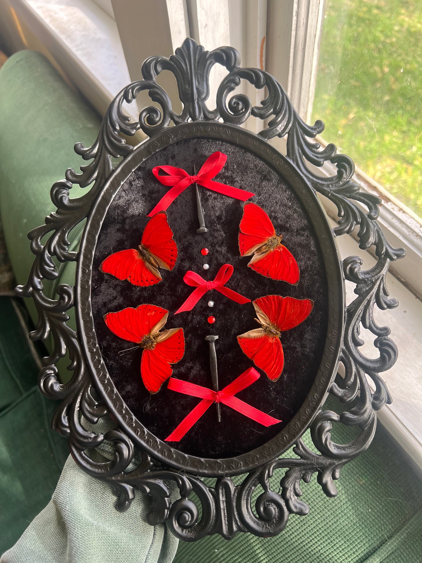 Crimson Queen Bubble Glass Antique Vintage Butterfly Framed Oddities Artwork