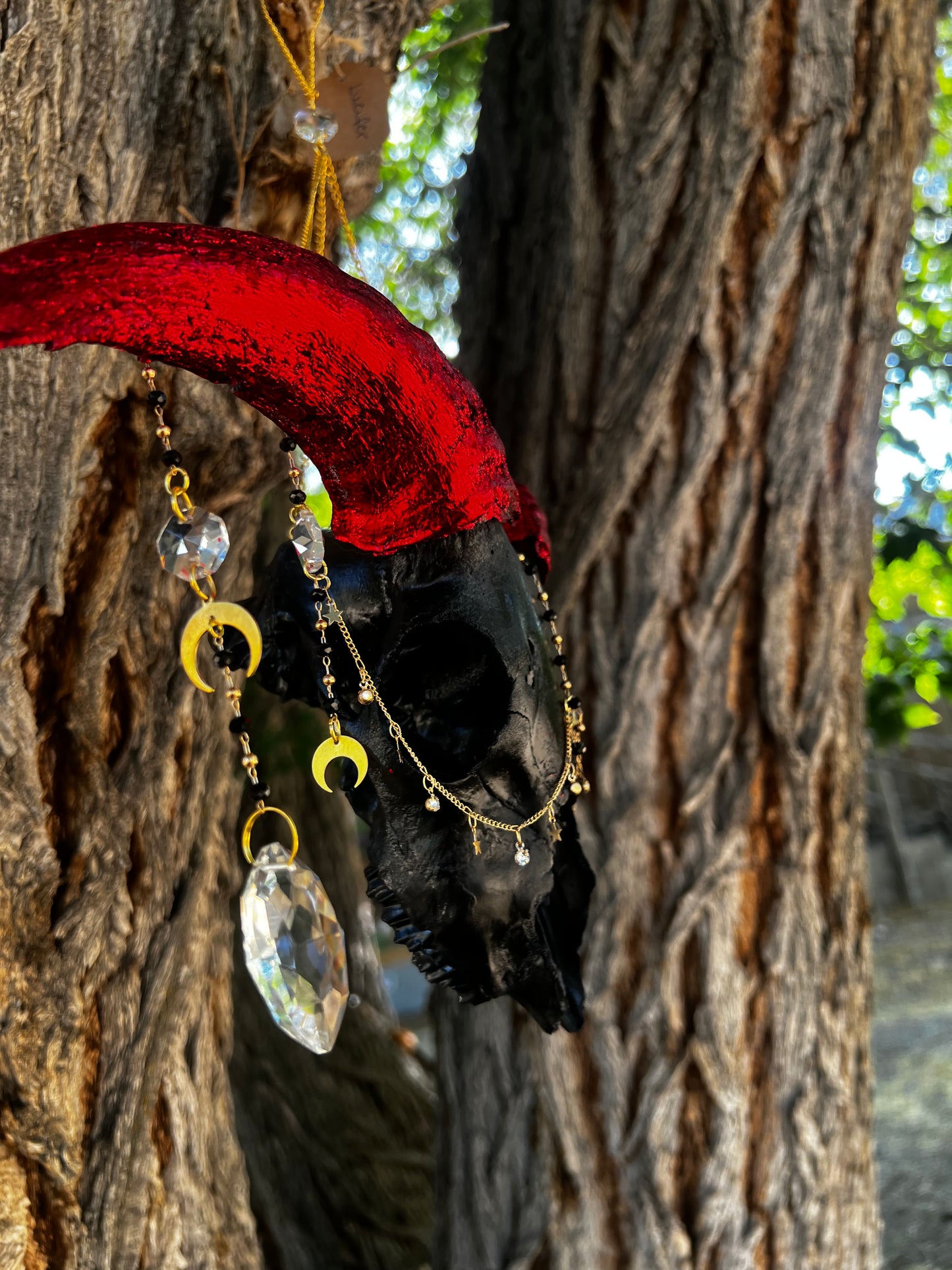 “Lucifer” Goat Skull Mixed-media Taxidermy Suncatcher Gothic Oddities Artwork