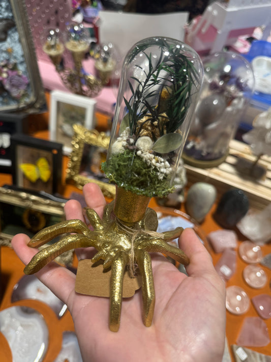 Natasha Black Widow Spider Floral Botanical Glass Dome Artwork