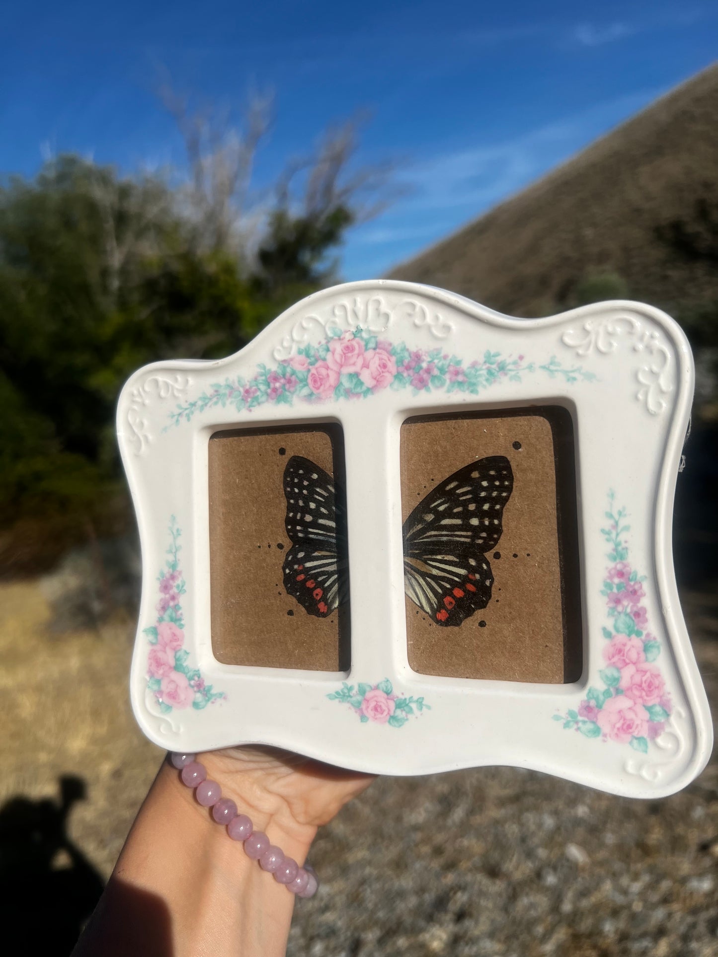 “Halfway to Forever” Butterfly Wing Framed Vintage Oddities Taxidermy Entomology Artwork