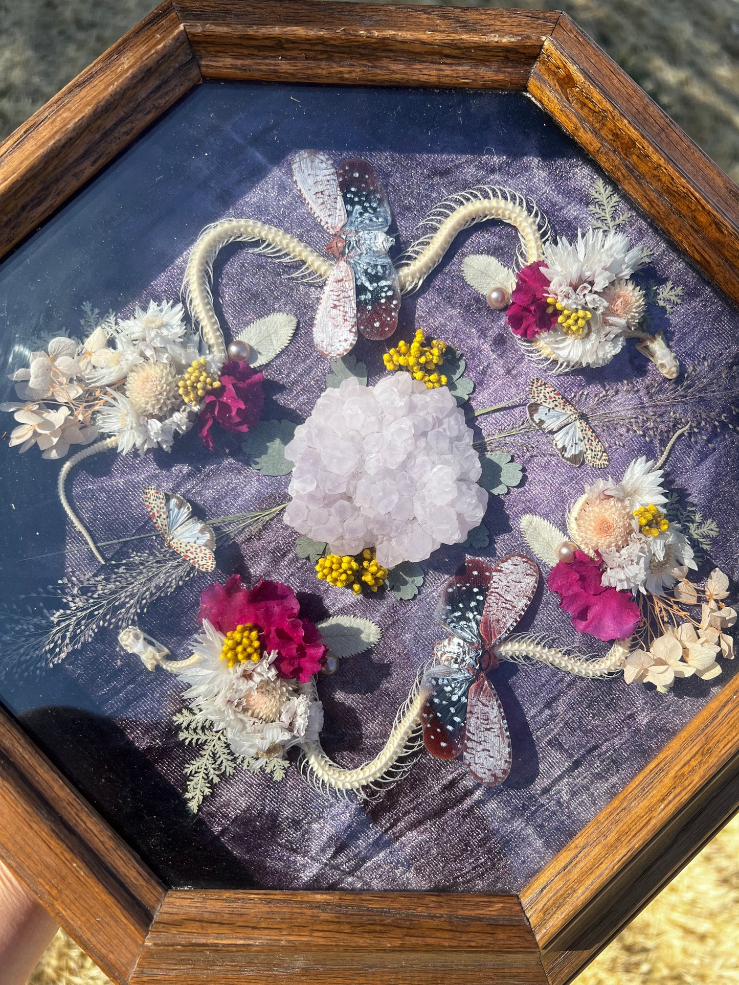 “The Blossom Pact” Snake Insect Floral Butterfly Taxidermy Oddities Framed Artwork