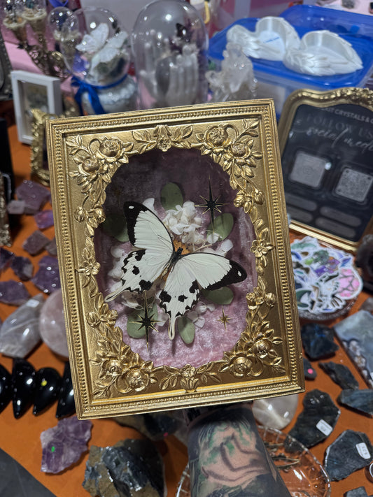Gwyn Butterfly Whimsy Cottagecore Girly Celestial Floral Framed Artwork