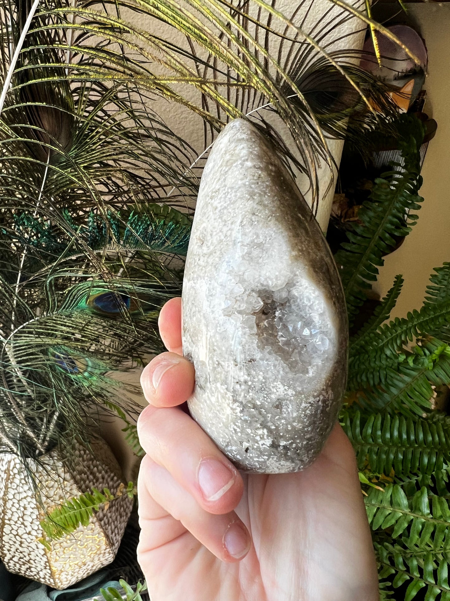 Sea Jasper Druzy Freeform