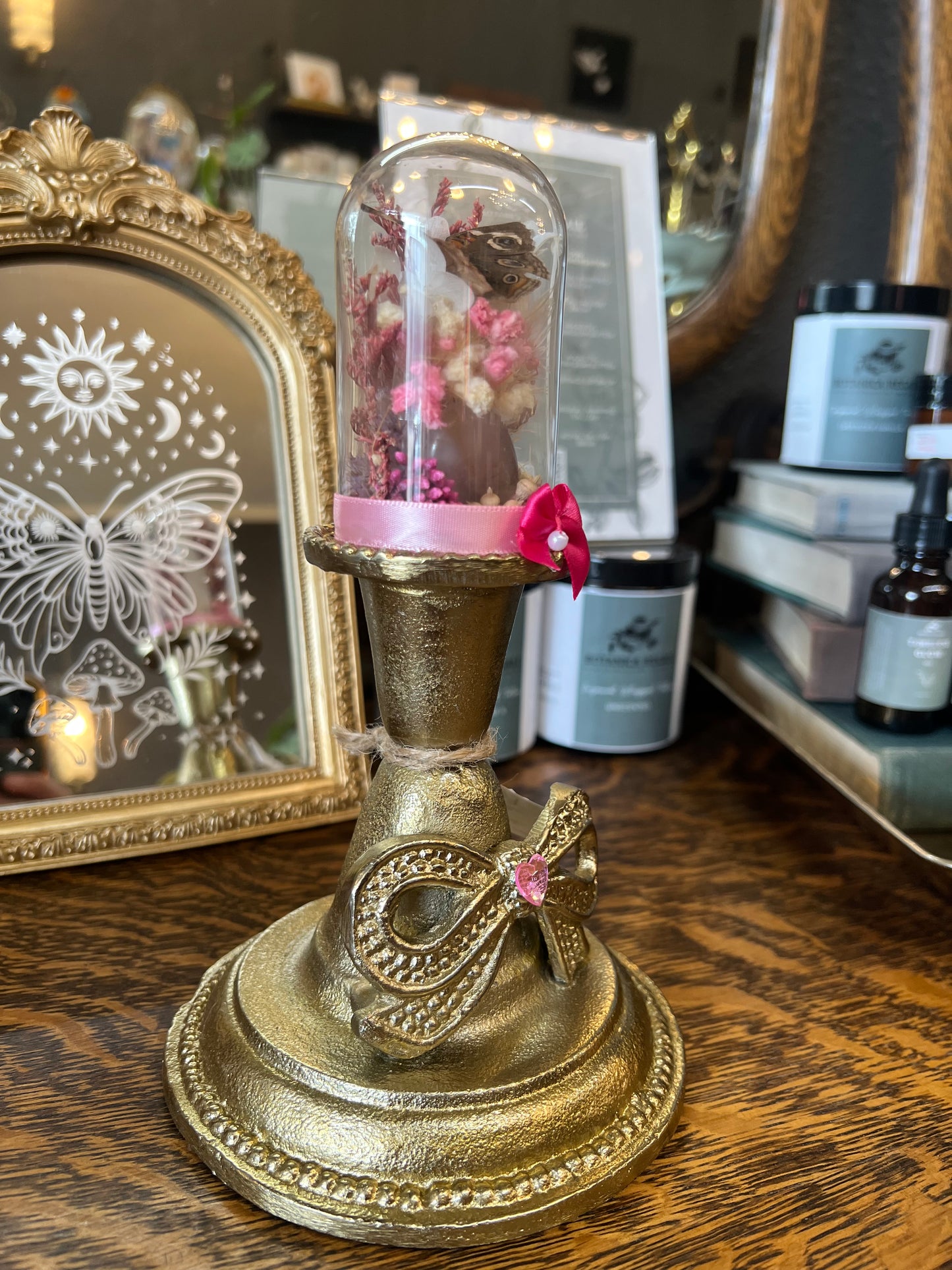 Evangeline Butterfly Entomology Insect Botanical Dried Flowers Oddities Glass Dome Artwork