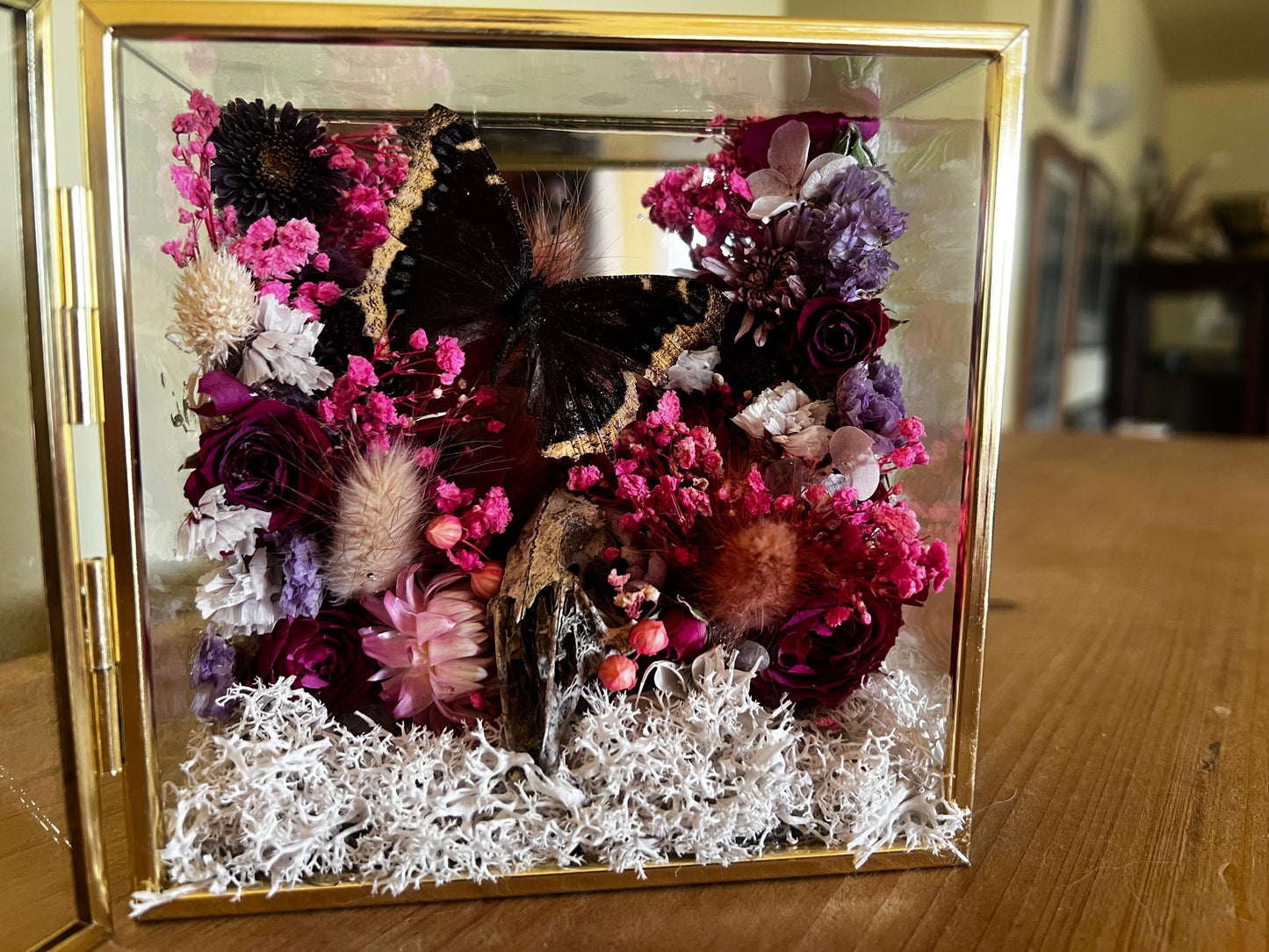 “Temple of Bloom” Butterfly Rabbit Skull Floral Botanical Taxidermy Oddities Shadowbox Artwork
