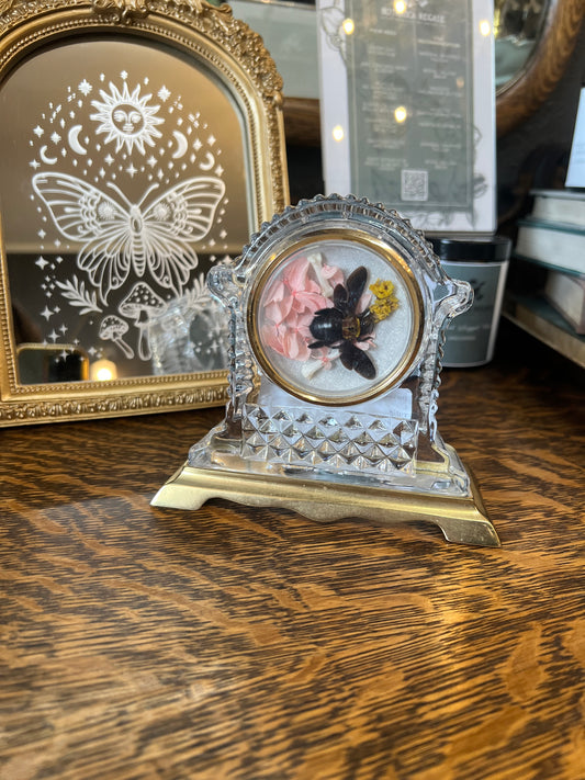 Tillie Bee Insect Entomology Vintage Crystal Clock Dried Flower Oddities Artowork