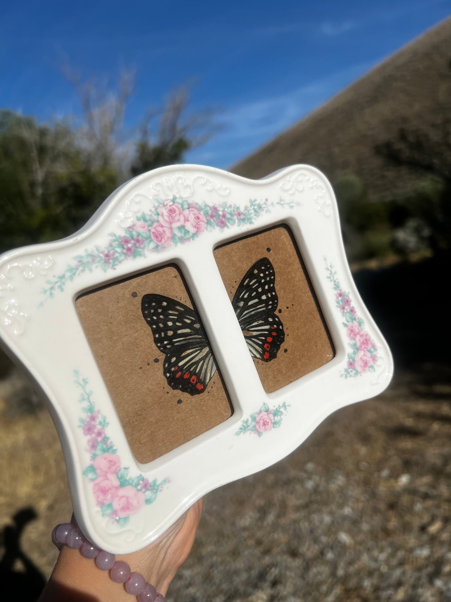 “Halfway to Forever” Butterfly Wing Framed Vintage Oddities Taxidermy Entomology Artwork
