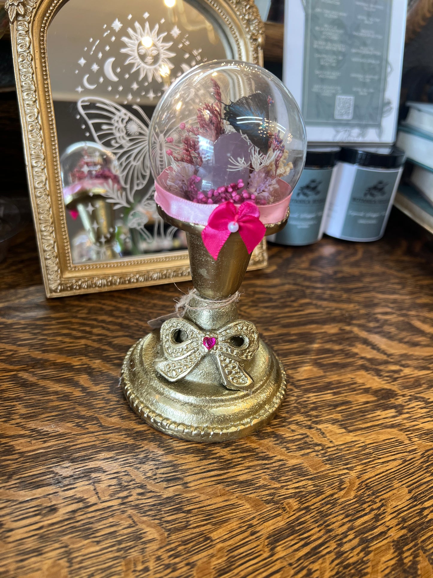 Gigi Butterfly Oddities Butterfly Insect Dried Floral Pink Glass Dome Artwork