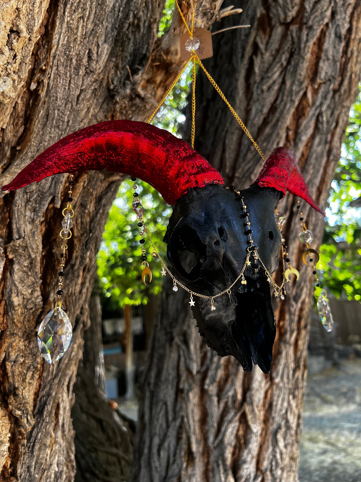 “Lucifer” Goat Skull Mixed-media Taxidermy Suncatcher Gothic Oddities Artwork