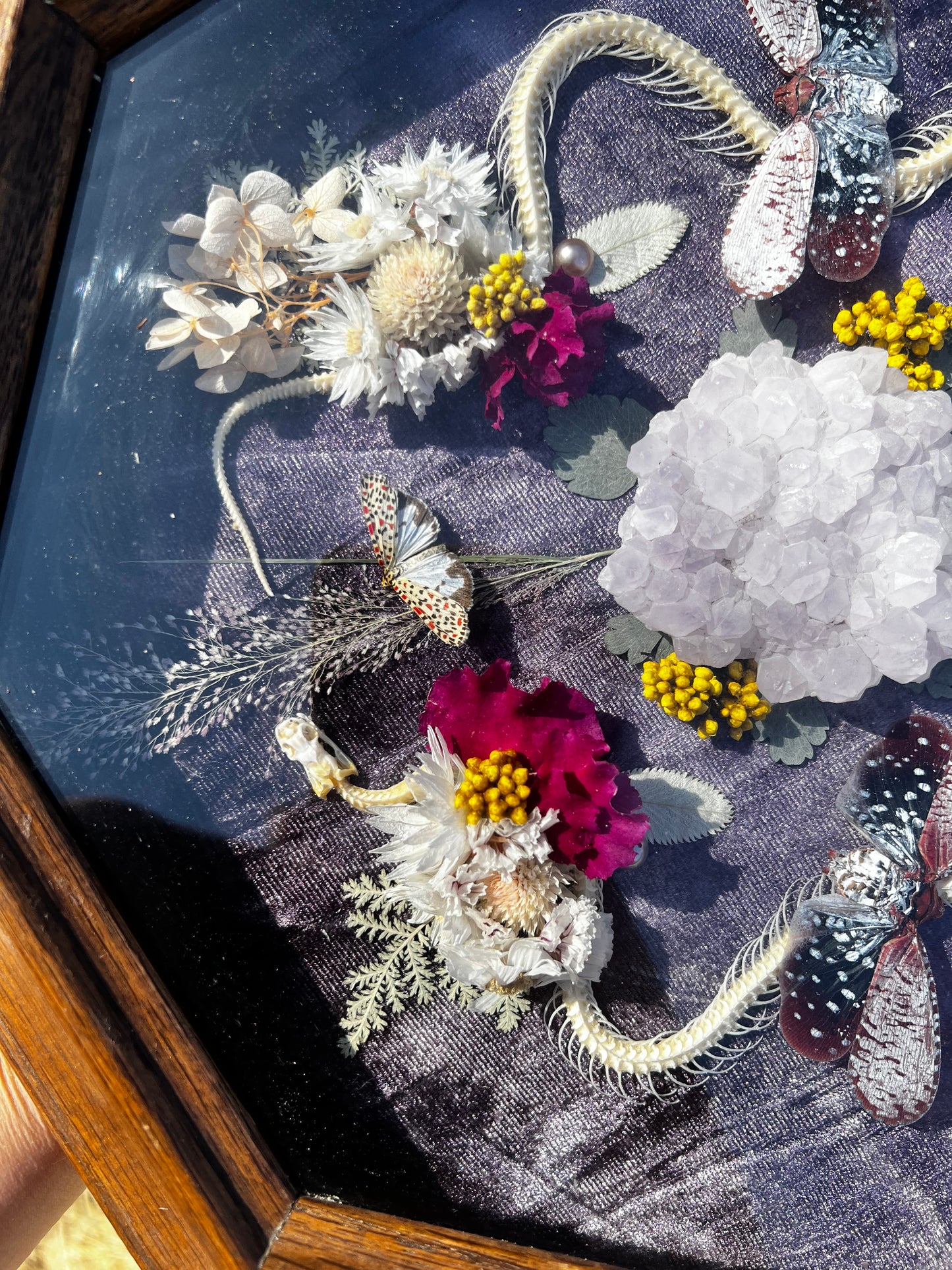“The Blossom Pact” Snake Insect Floral Butterfly Taxidermy Oddities Framed Artwork