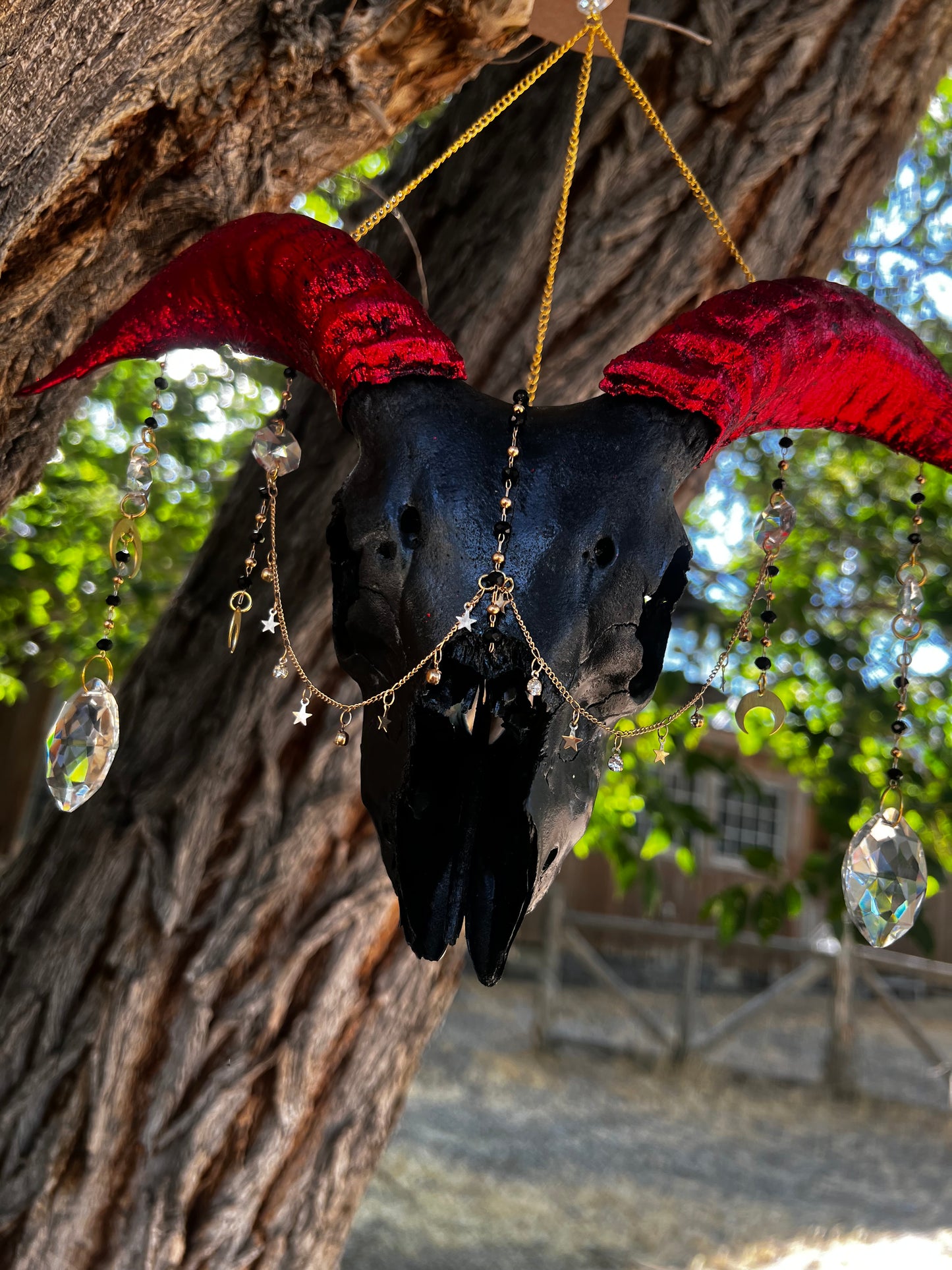 “Lucifer” Goat Skull Mixed-media Taxidermy Suncatcher Gothic Oddities Artwork