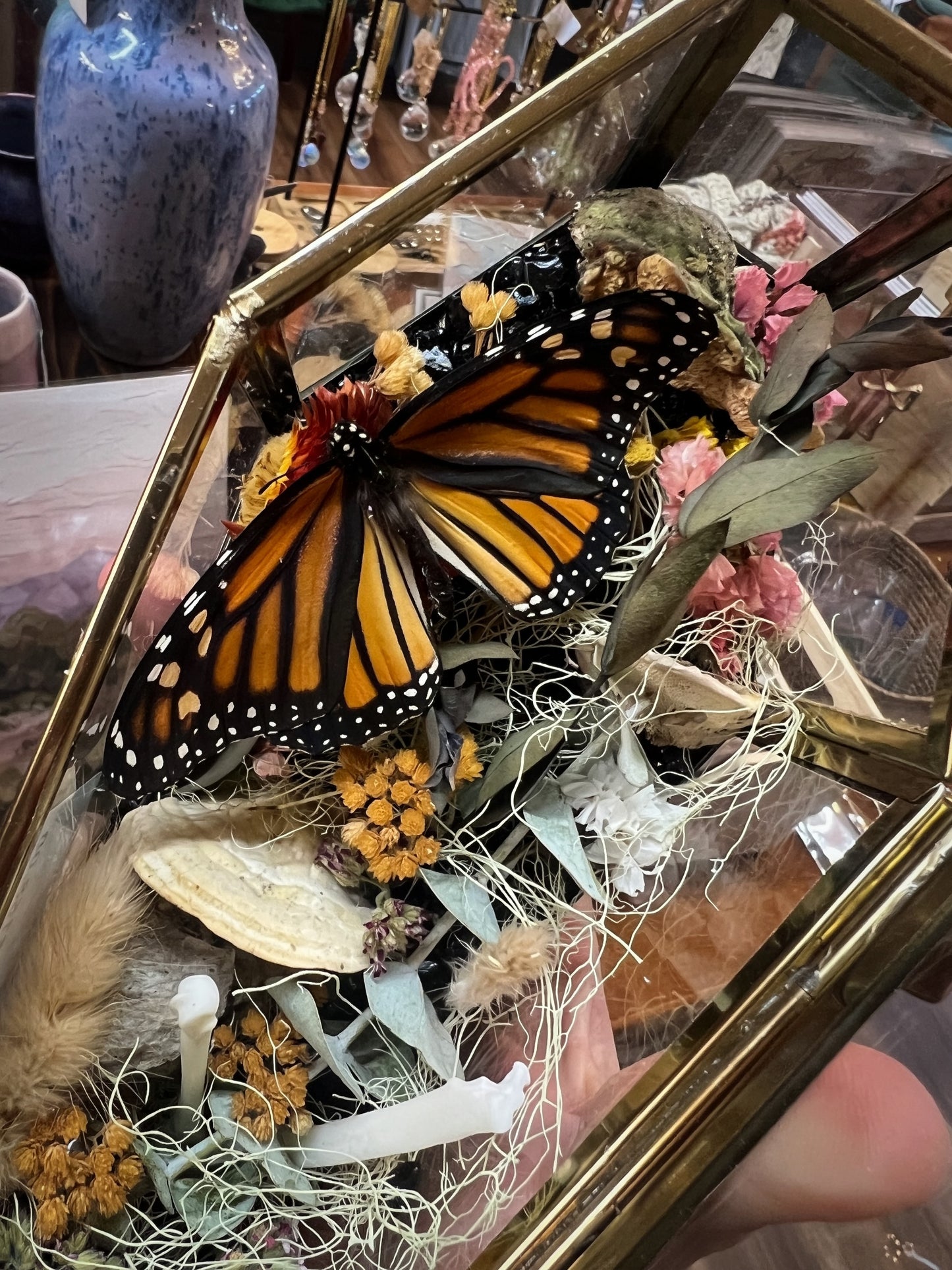 Hazel Monarch Butterfly Entomology Oddities Taxidermy Glass Coffin Terrarium Artwork