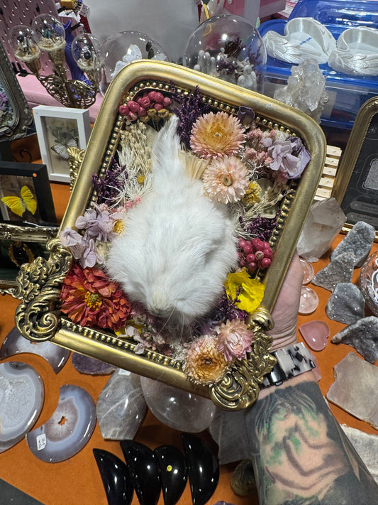 Pipp Real Rabbit Bunny Head Floral Whimsy Cottagecore Framed Taxidermy Oddities Artwork