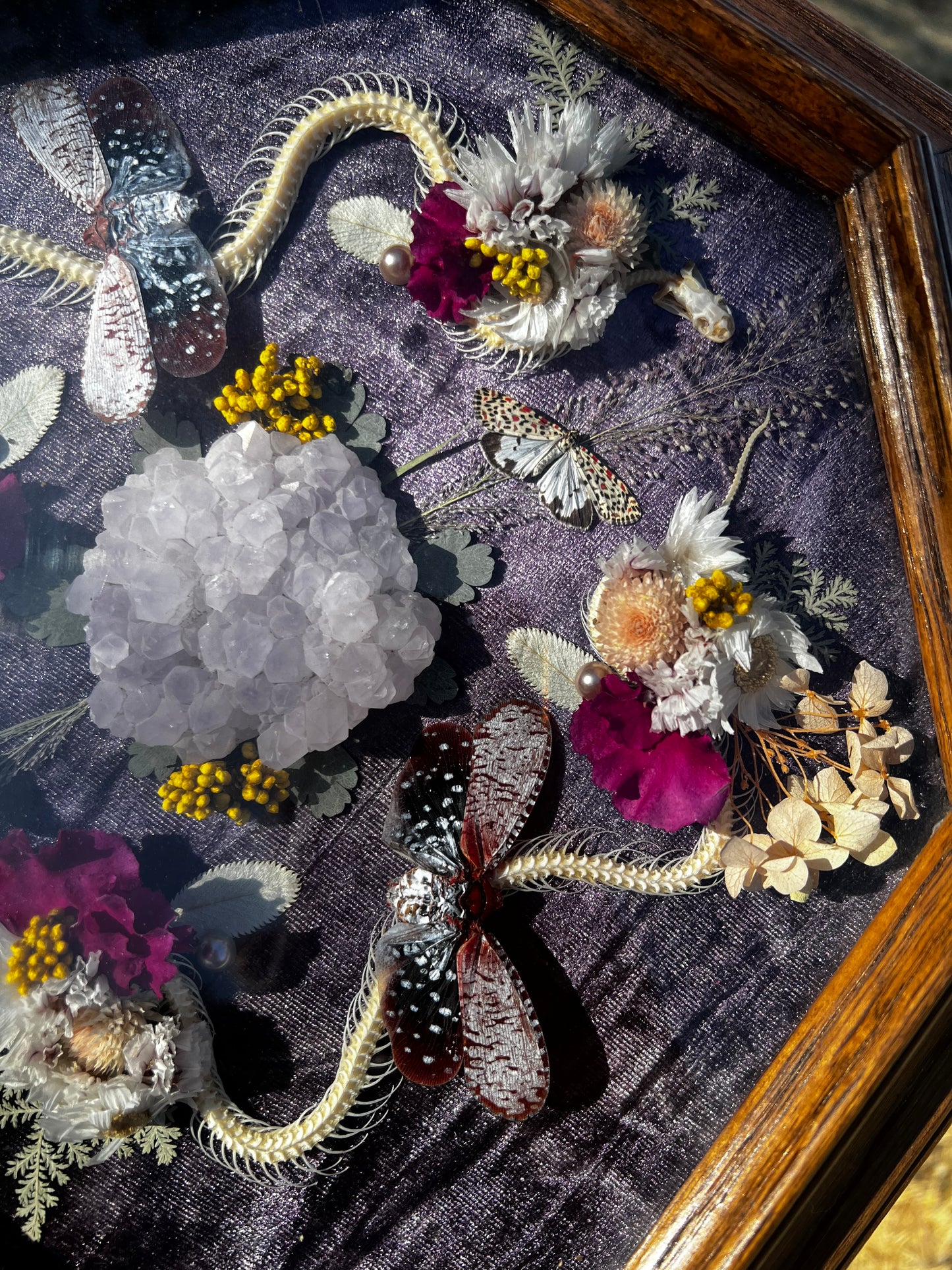 “The Blossom Pact” Snake Insect Floral Butterfly Taxidermy Oddities Framed Artwork