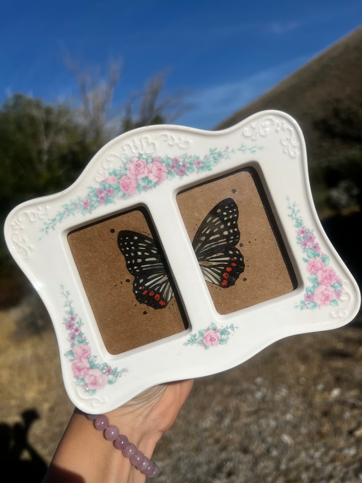 “Halfway to Forever” Butterfly Wing Framed Vintage Oddities Taxidermy Entomology Artwork