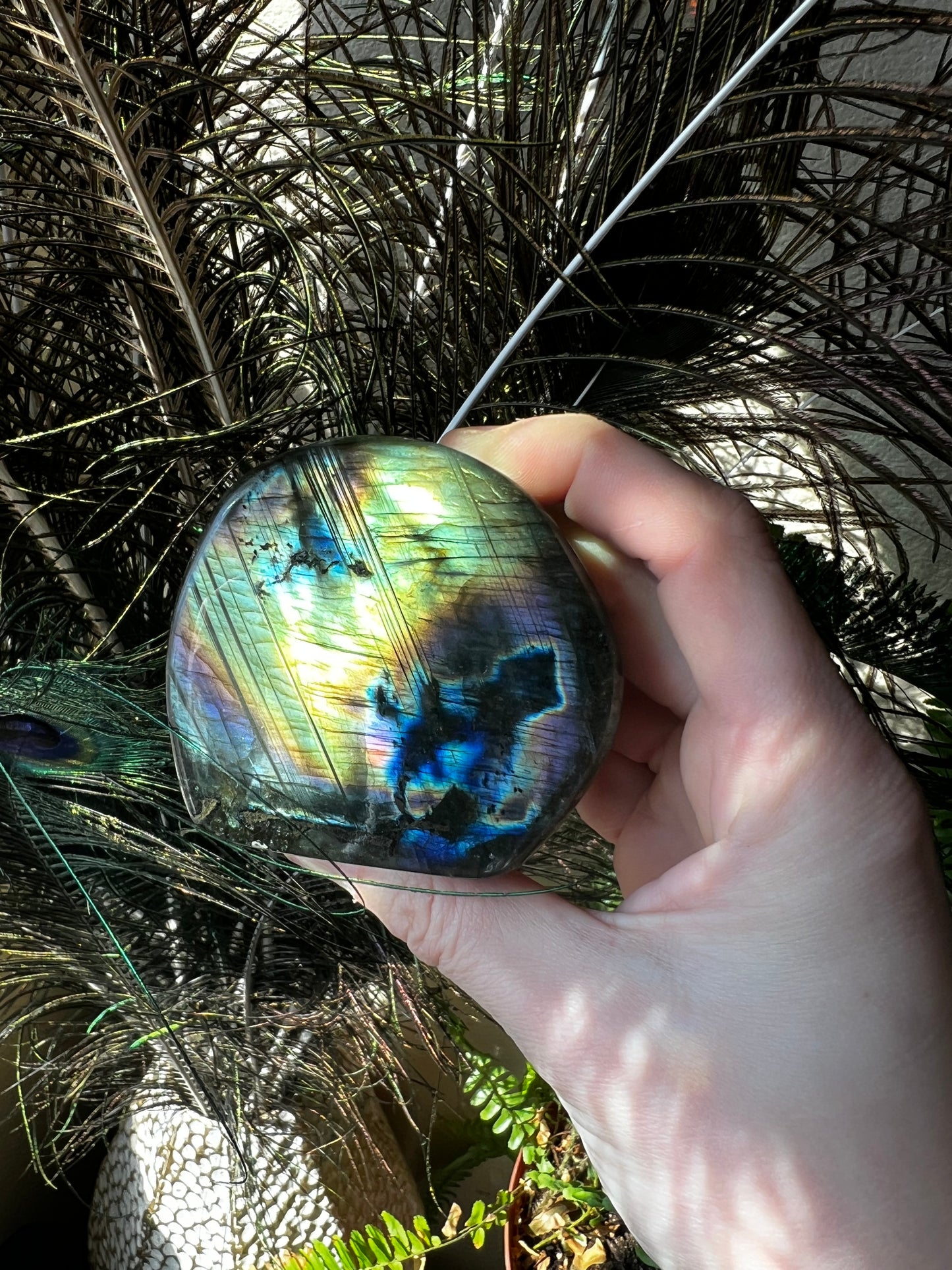 Labradorite Freeform #A