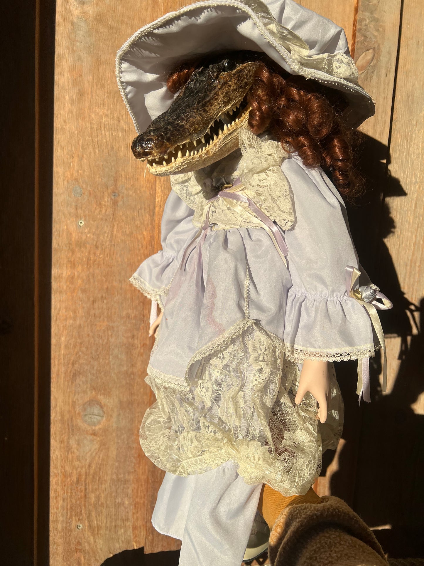 Peggy Sue Alligator Head Doll Taxidermy