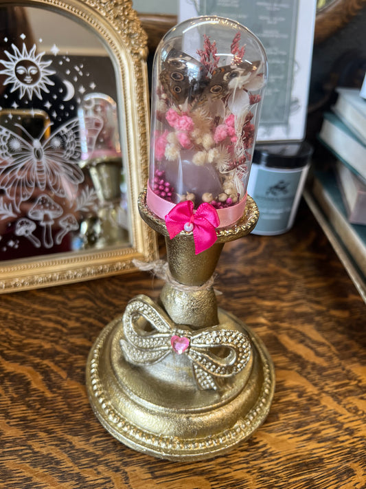 Evangeline Butterfly Entomology Insect Botanical Dried Flowers Oddities Glass Dome Artwork