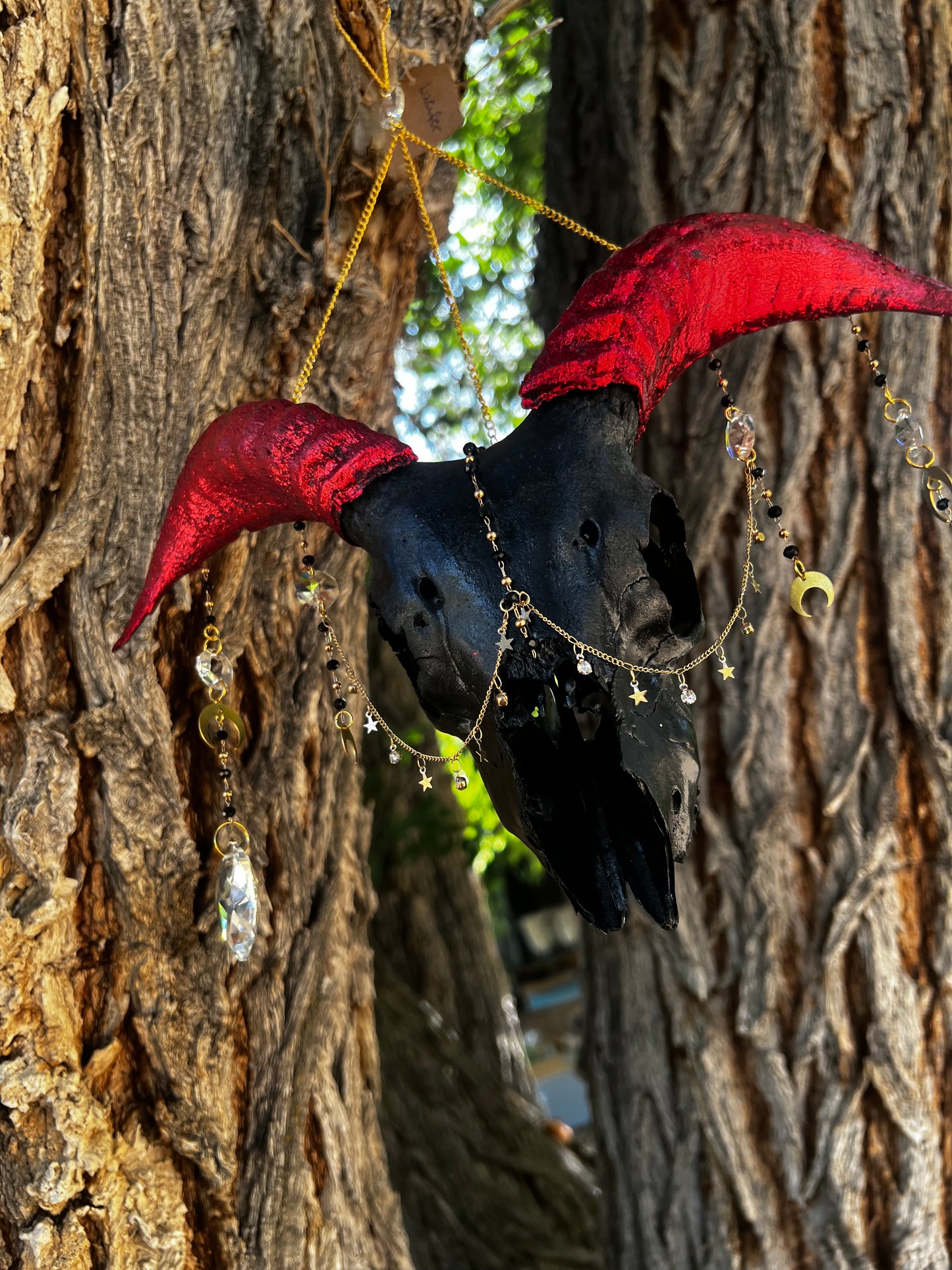 “Lucifer” Goat Skull Mixed-media Taxidermy Suncatcher Gothic Oddities Artwork