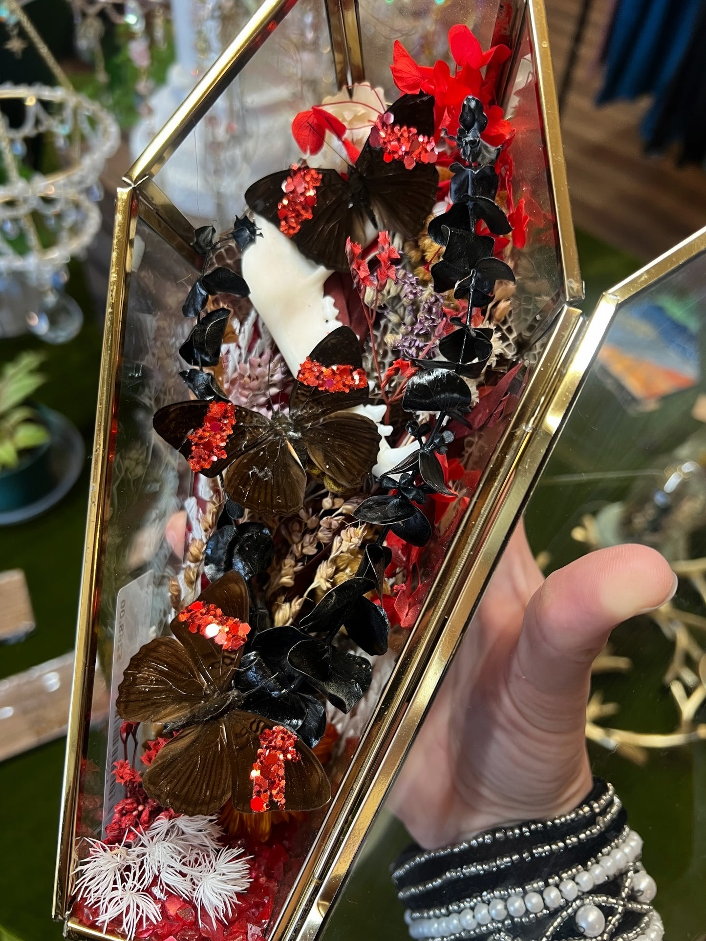 Evie Butterfly Entomology Jawbone Oddities Taxidermy Coffin Terrarium Artwork