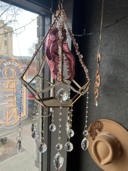 Althea Coyote Skull Mixed Media Taxidermy Oddities Geometric Crystal Suncatcher