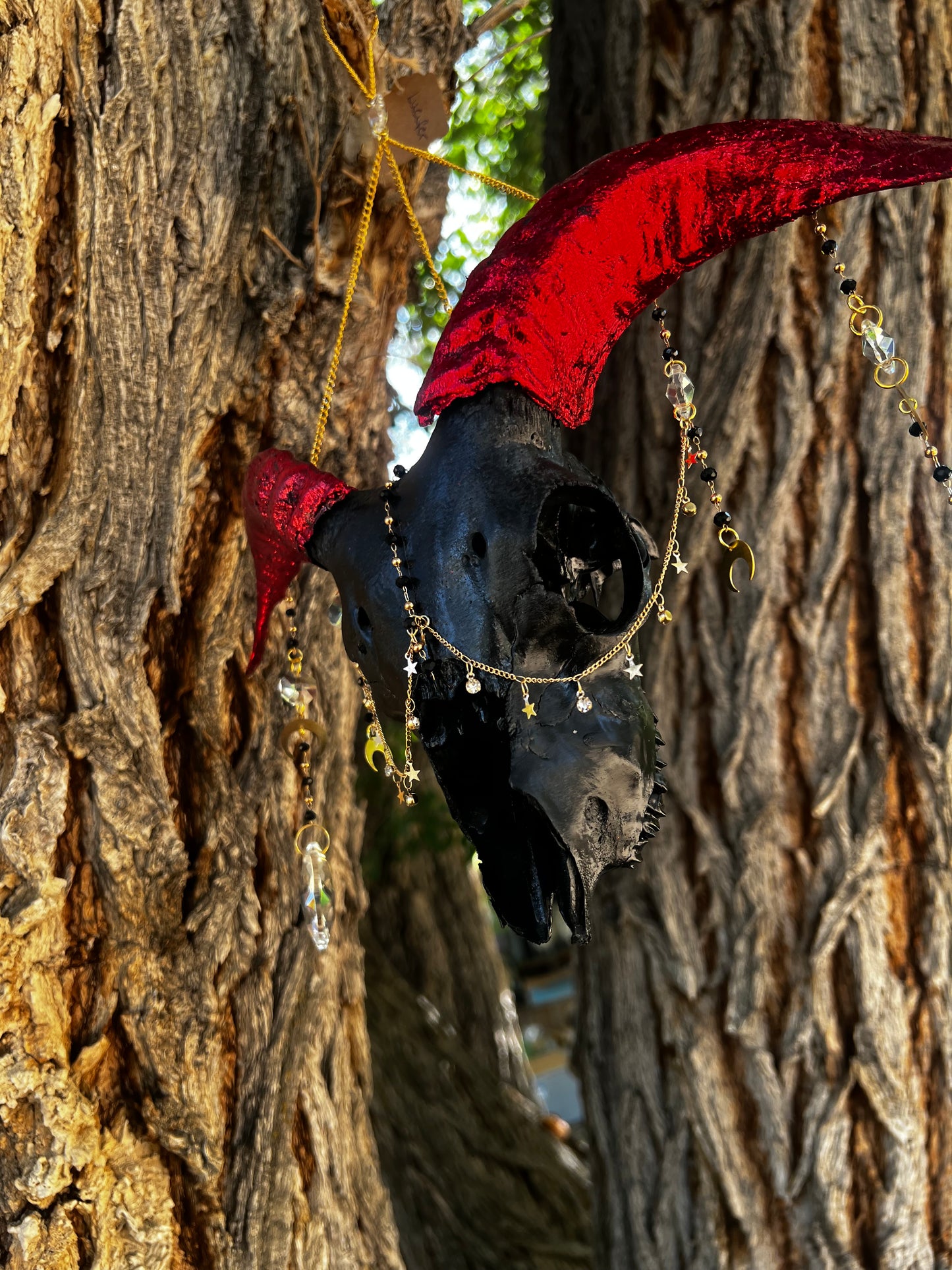 “Lucifer” Goat Skull Mixed-media Taxidermy Suncatcher Gothic Oddities Artwork