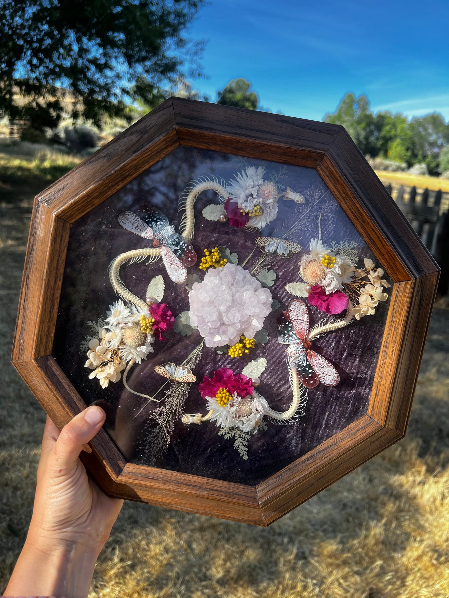 “The Blossom Pact” Snake Insect Floral Butterfly Taxidermy Oddities Framed Artwork