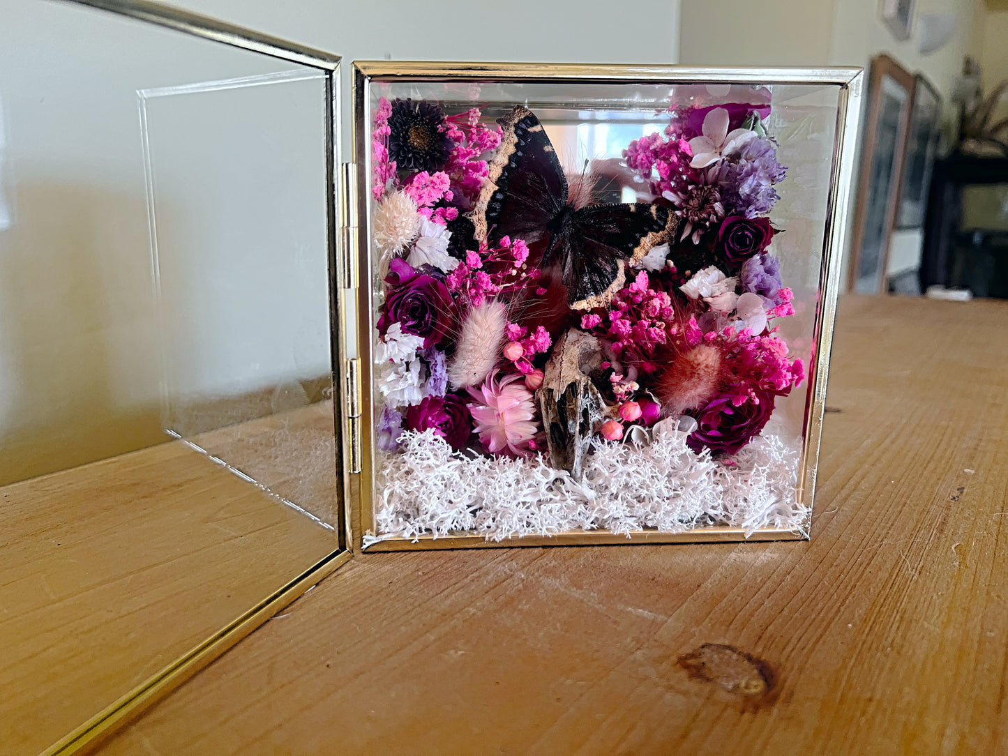 “Temple of Bloom” Butterfly Rabbit Skull Floral Botanical Taxidermy Oddities Shadowbox Artwork