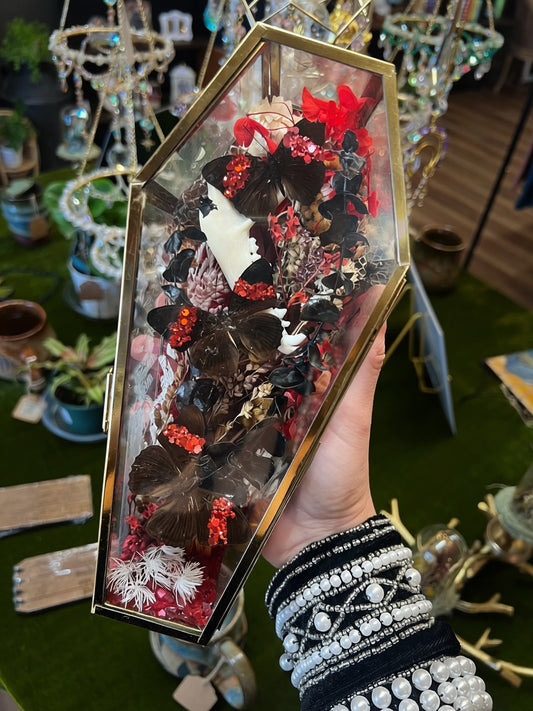 Evie Butterfly Entomology Jawbone Oddities Taxidermy Coffin Terrarium Artwork