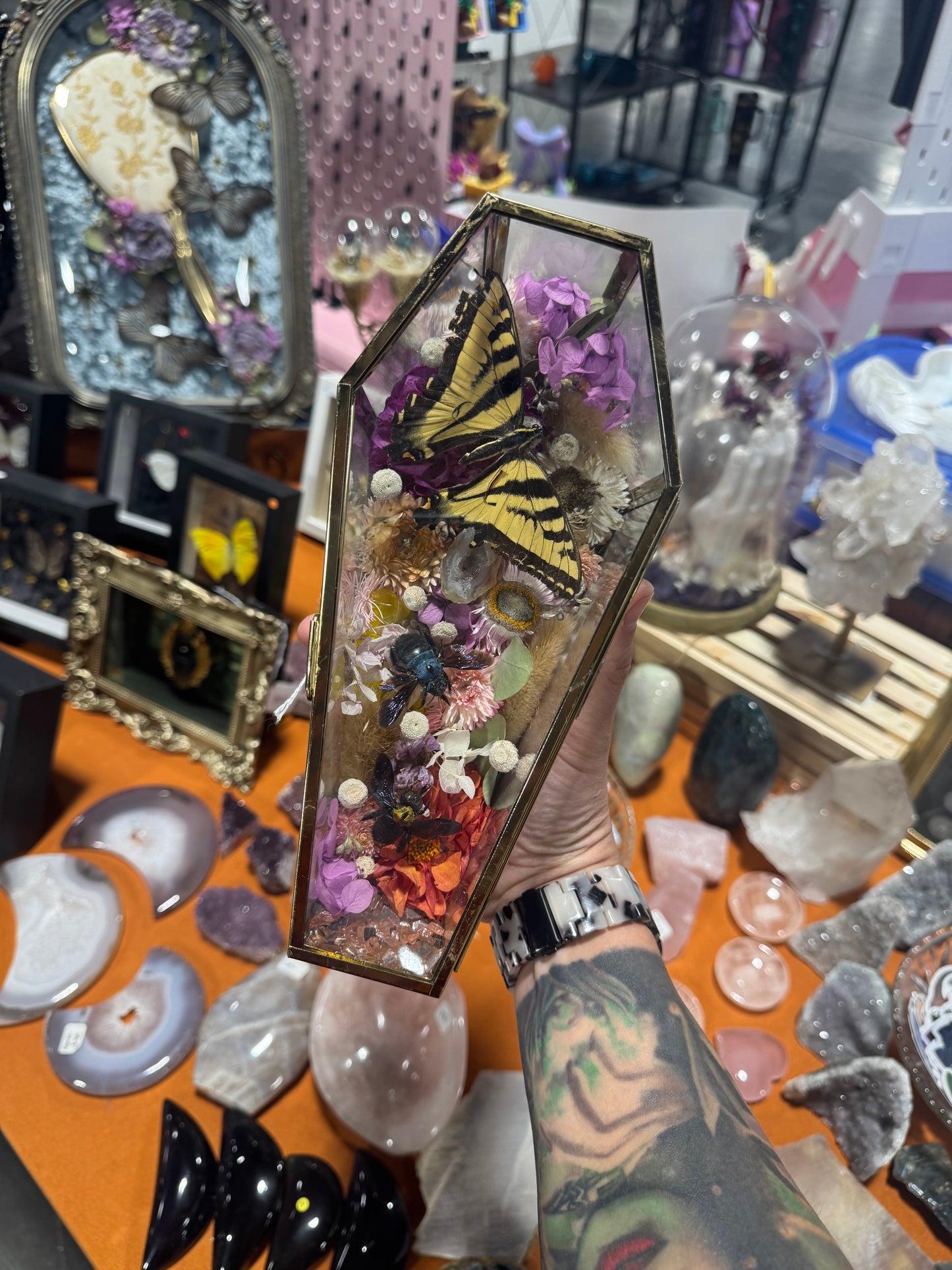 Lanella Butterfly Bee Insect Oddities Entomology Floral Crystal Coffin Terrarium Artwork
