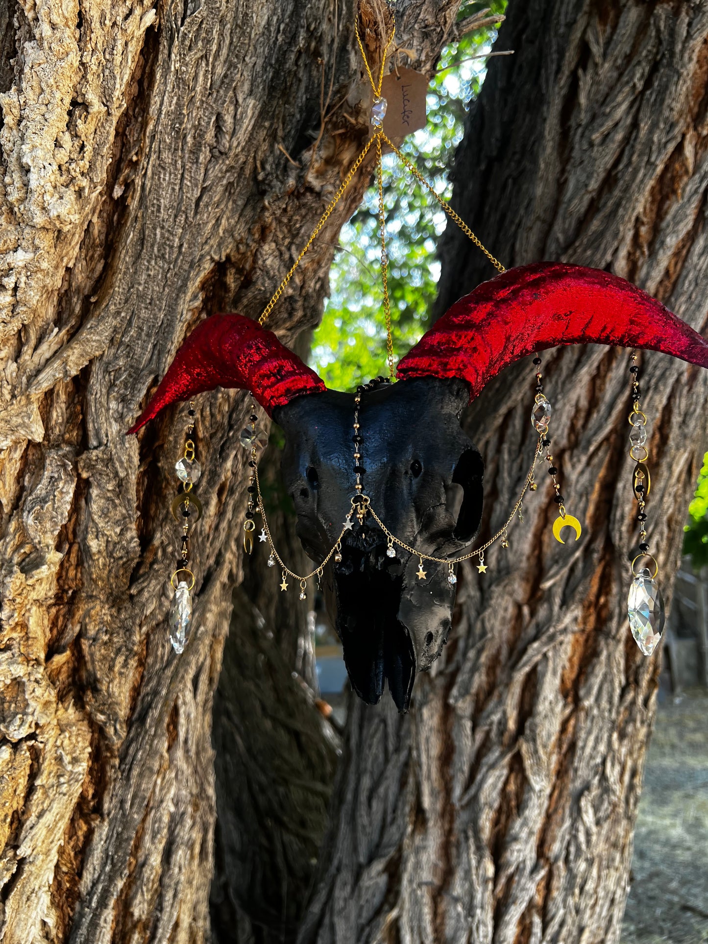 “Lucifer” Goat Skull Mixed-media Taxidermy Suncatcher Gothic Oddities Artwork