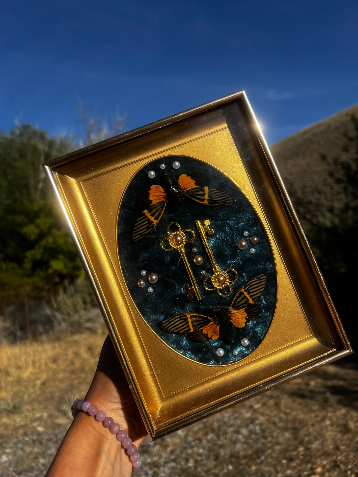 “The Gatekeeper” Cicada Insect Vintage Framed Oddities Taxidermy Entomology Artwork