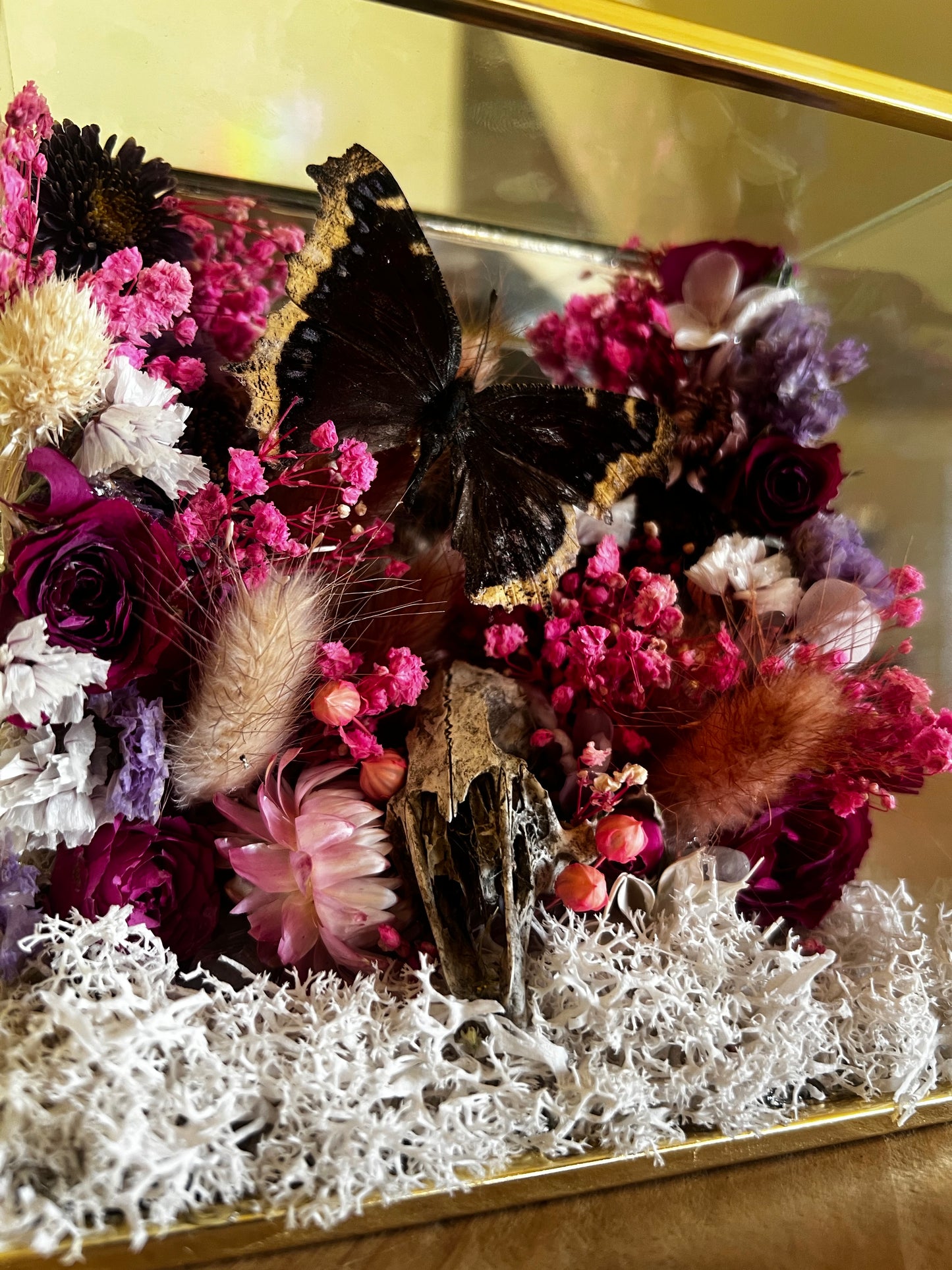 “Temple of Bloom” Butterfly Rabbit Skull Floral Botanical Taxidermy Oddities Shadowbox Artwork