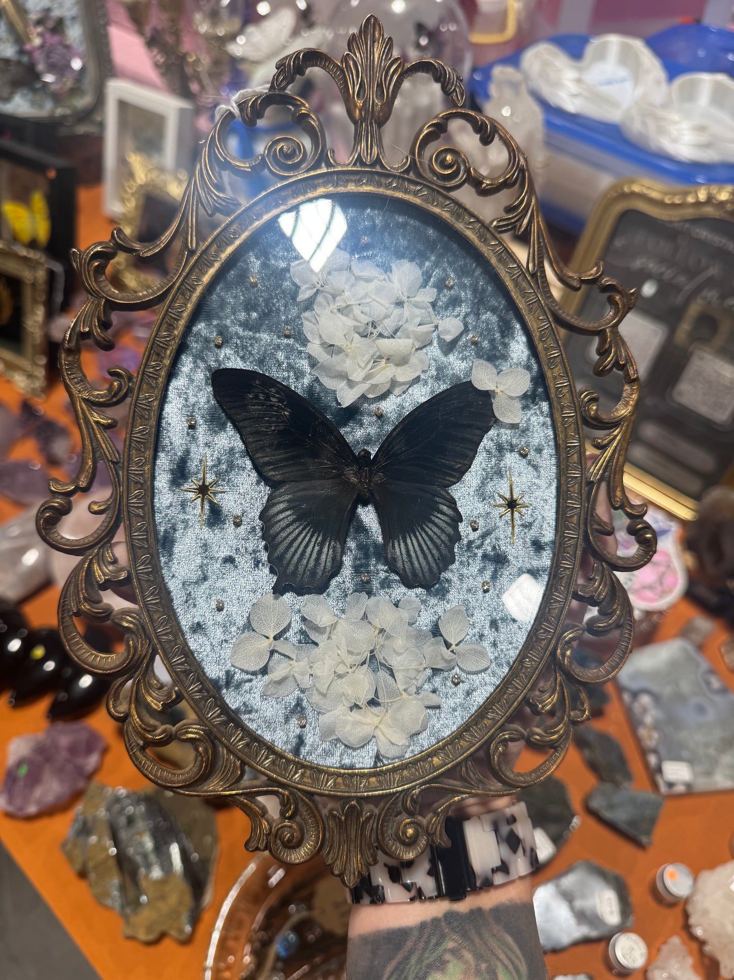 Iris Butterfly Floral Celestial Vintage Bubble Glass Framed Artwork