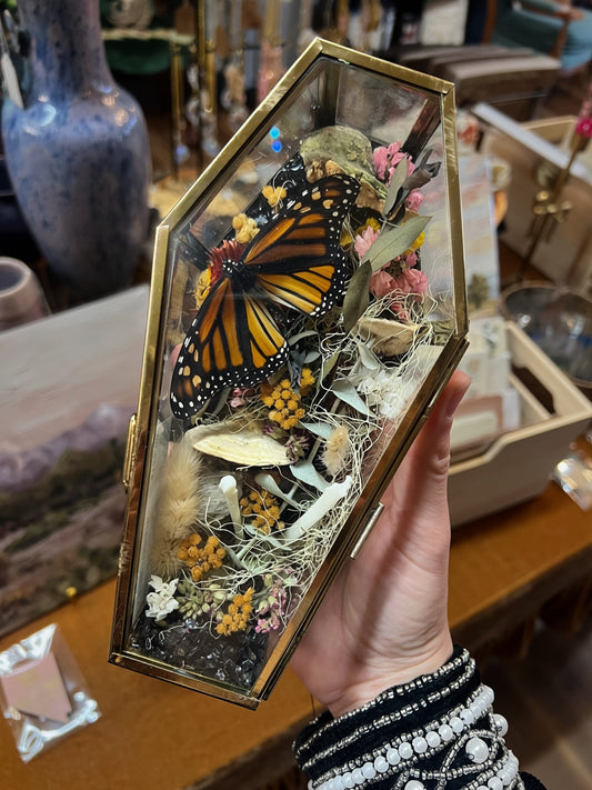Hazel Monarch Butterfly Entomology Oddities Taxidermy Glass Coffin Terrarium Artwork