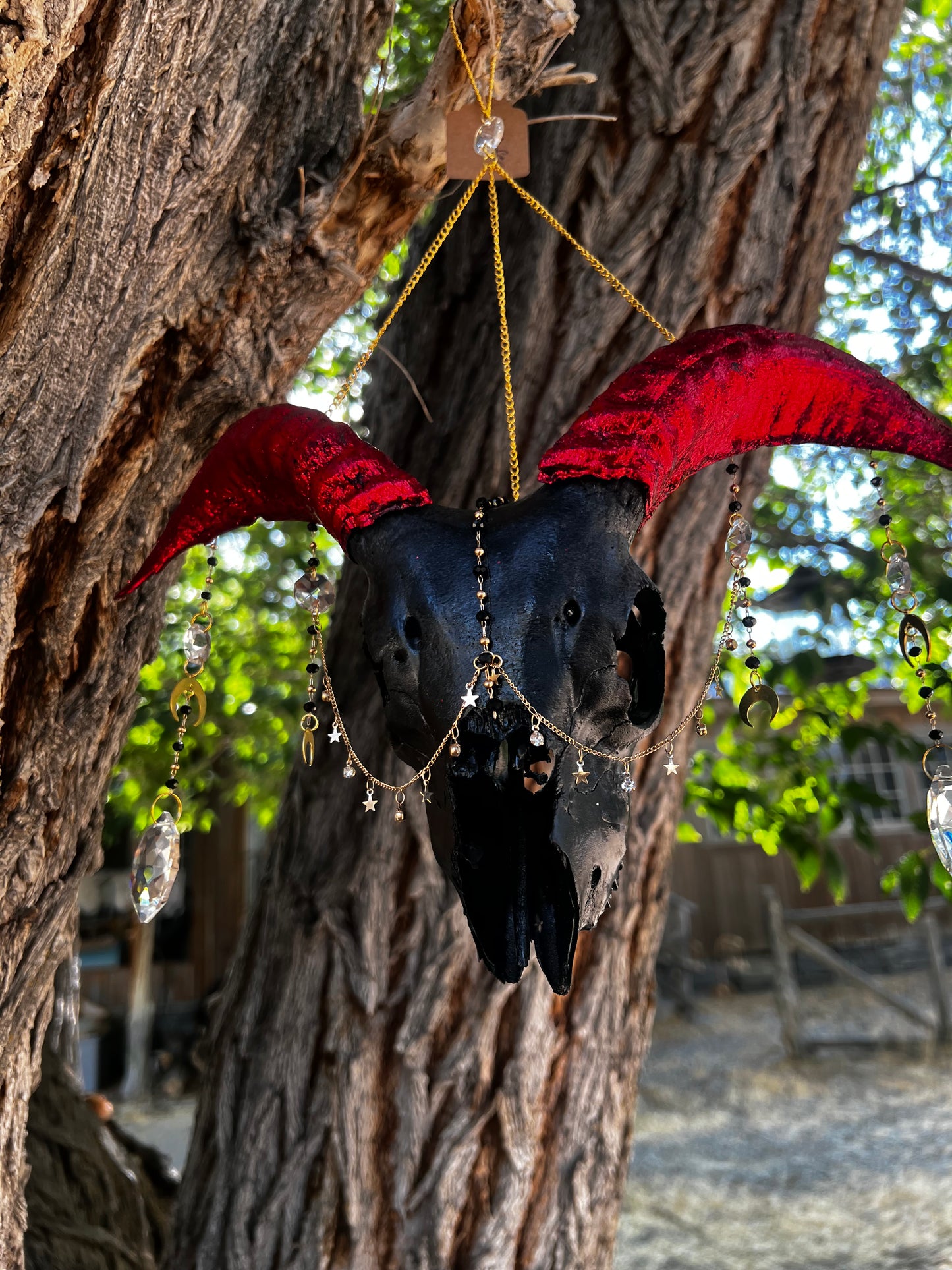 “Lucifer” Goat Skull Mixed-media Taxidermy Suncatcher Gothic Oddities Artwork