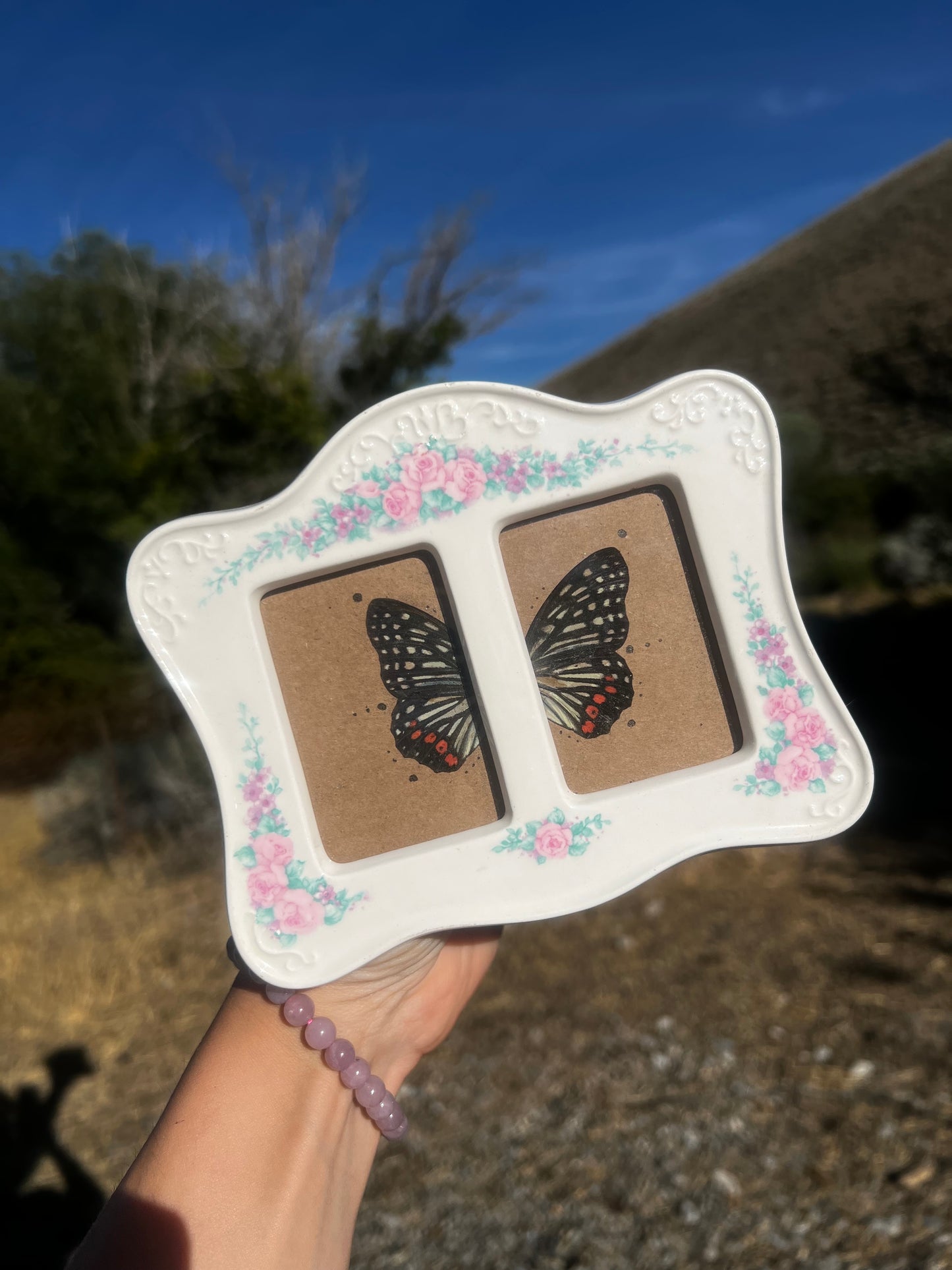 “Halfway to Forever” Butterfly Wing Framed Vintage Oddities Taxidermy Entomology Artwork