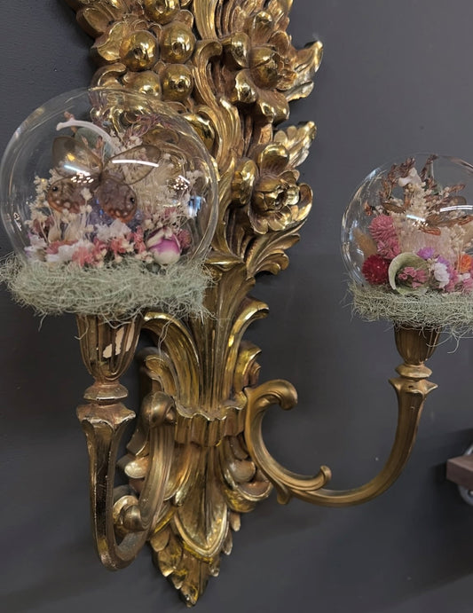 Fleur Vintage Double Wall Scone Butterfly Entomology Taxidermy Wallhanging Artwork