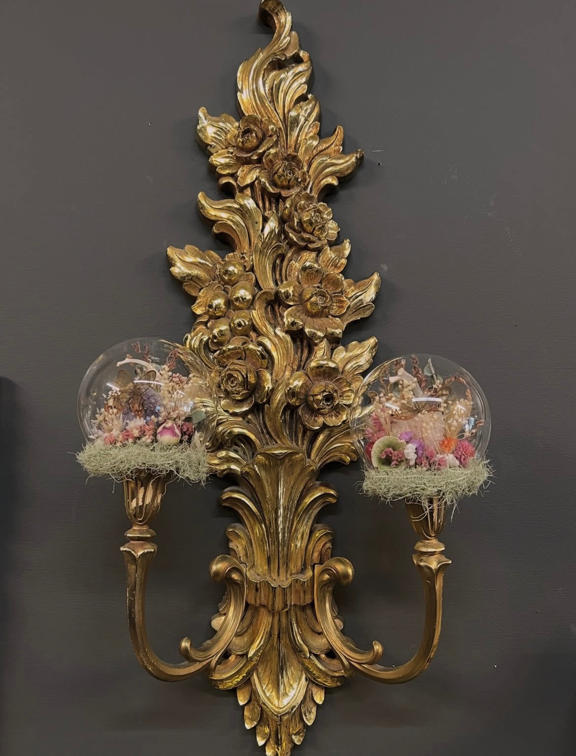 Fleur Vintage Double Wall Scone Butterfly Entomology Taxidermy Wallhanging Artwork