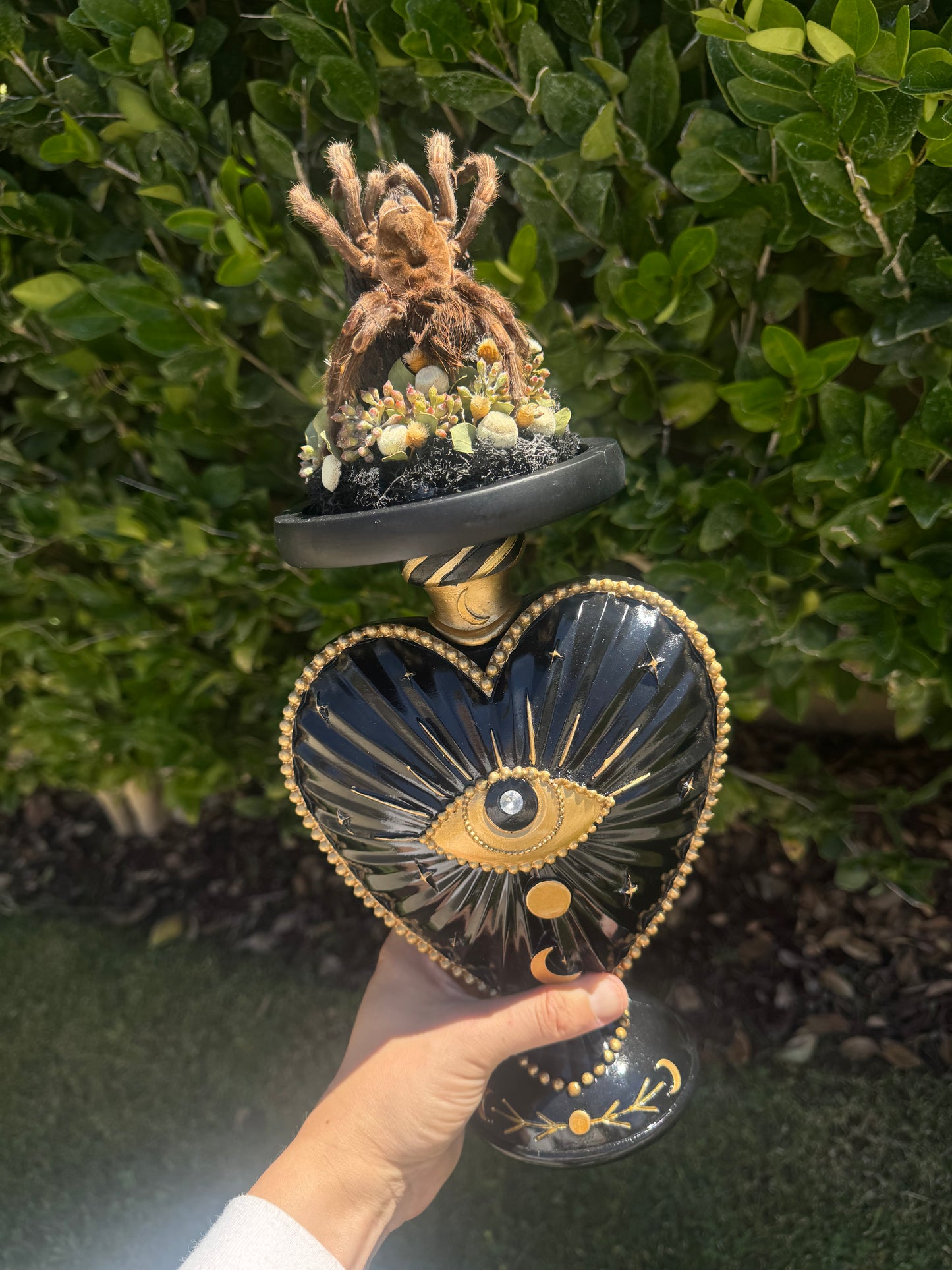 Ramona Tarantual Spider Ethereal Dark Academia Gothic Glass Dome Artwork