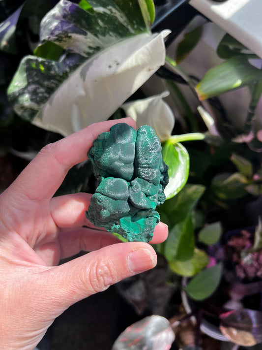 Botryoidal Velvet Fibrous Malachite #A