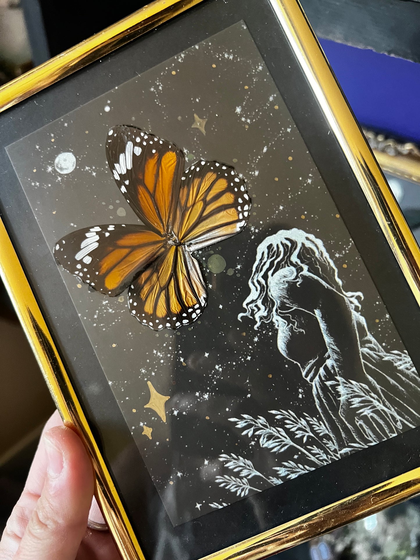 Framed Starry Sky Night Butterfly Wing Entomology Art