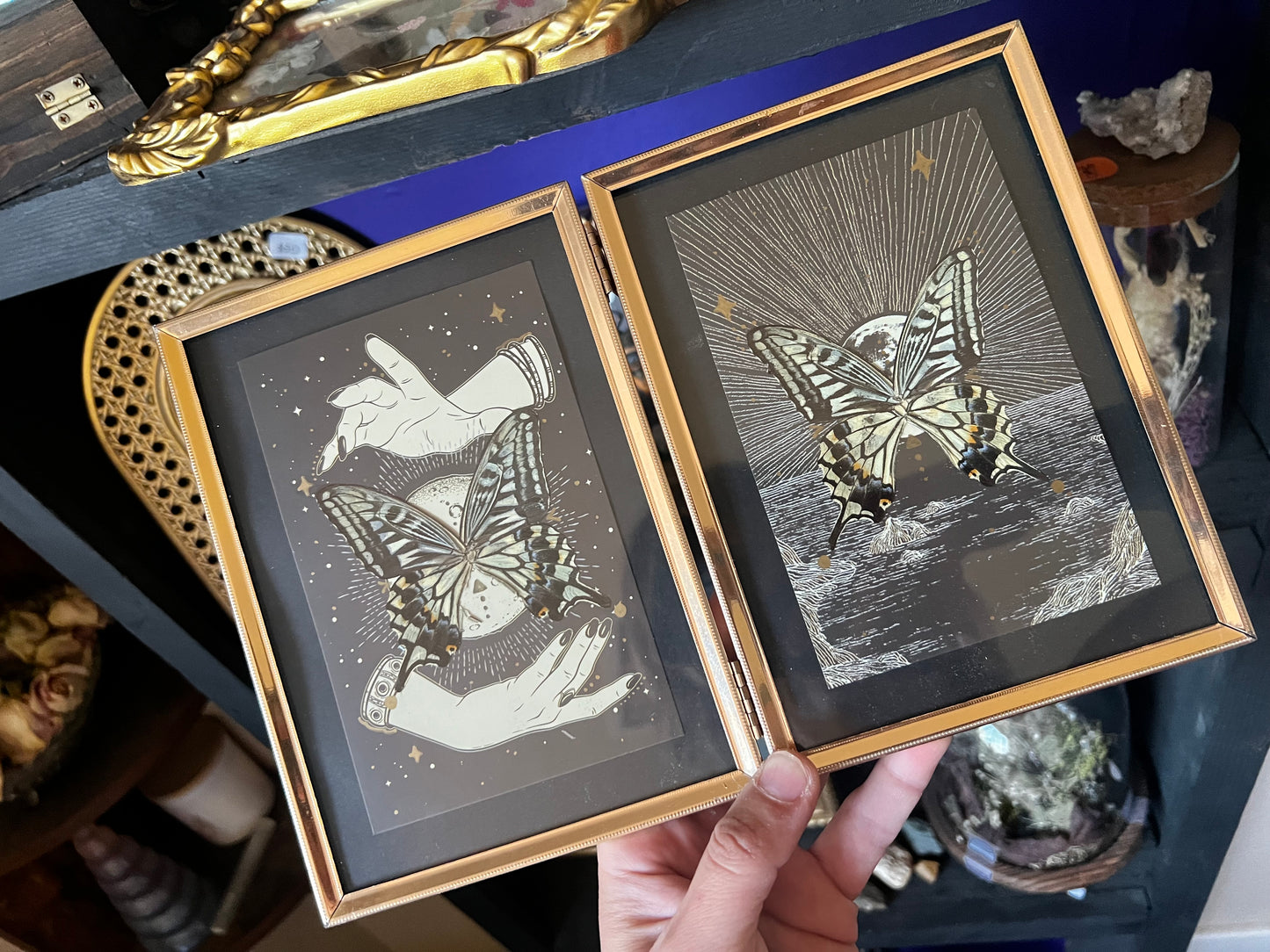 Double Framed Spiritual Art Swallowtail Butterfly Wing Entomology Art