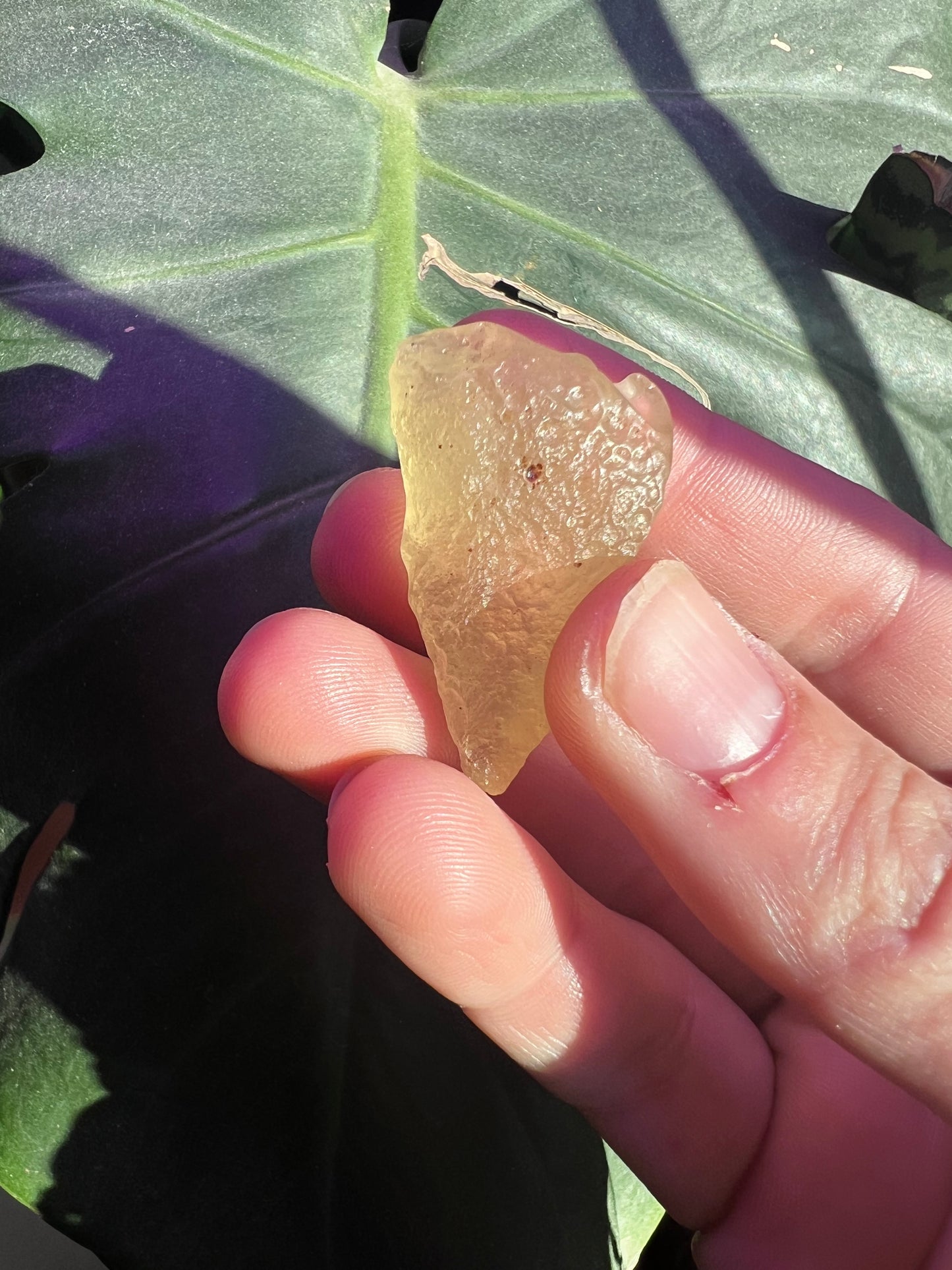 Libyan Desert Glass #B